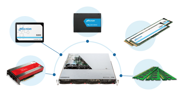 PALTEKのサーバ/ストレージソリューション製品構成：中央のサーバを中心に、SSD、RAIDカード、メモリ、NVMeなどの主要コンポーネントを接続した構成図
