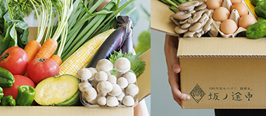 株式会社坂ノ途中でのGeami WrapPak®採用事例