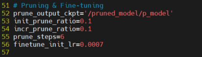 config.py ”Pruning & Fine-tuning”